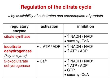 PPT - Citrate Cycle (CC) PowerPoint Presentation, free download - ID ...