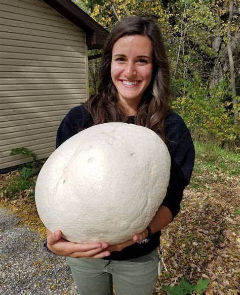 GIANT PUFFBALL MUSHROOM Growing Kit. Over 1 Billion Spores Calvatia ...