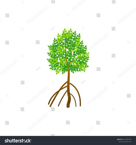 Tree Roots Vector Mangrove Tree Illustration Stock Vector (Royalty Free ...