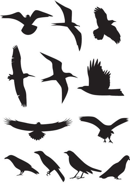 Bird silhouette vector Free vector in Encapsulated PostScript eps ...