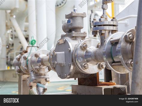 Gear Pump Type Image & Photo (Free Trial) | Bigstock