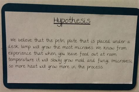 3rd Grade Science Fair Projects Hypothesis