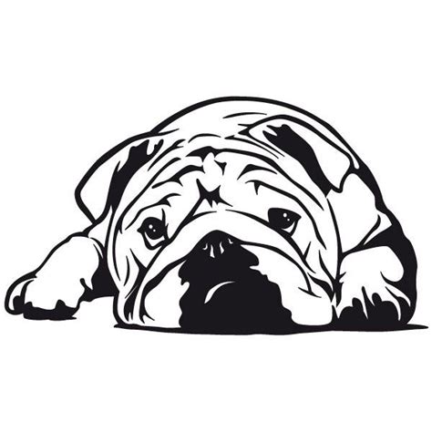 English Bulldog Drawing at GetDrawings | Free download