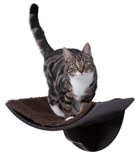 Wall Mount Cat Bed (espresso-brown) - Walmart.com - Walmart.com