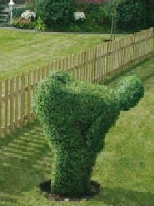 1000+ images about Topiaries on Pinterest | Topiary garden, Botanical ...