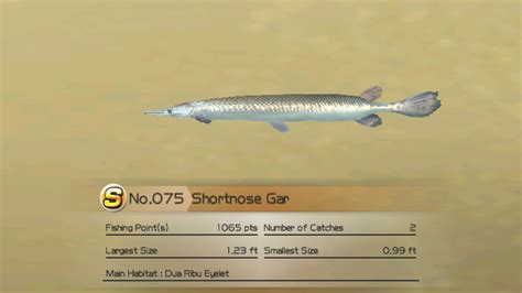 Shortnose Gar - Wii Fishing Resort Wiki