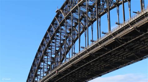 Sydney Seafood Buffet Lunch Cruise - Klook United States