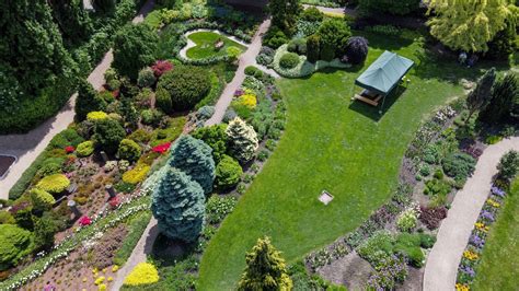 Topiary Trees – Eureka Farms