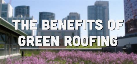 Green Roof Benefits - Essential Flat Roofing