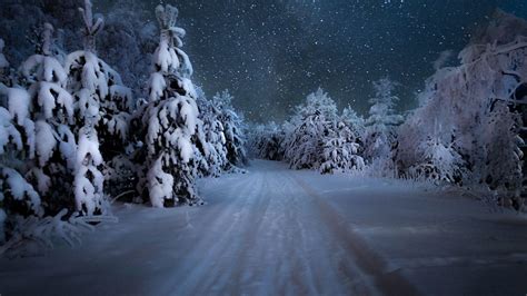 Winter Forest Wallpapers Night - Wallpaper Cave