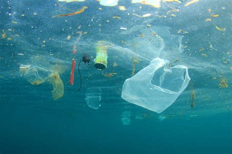 Marine litter significantly impacts all oceans and 1,220 species ...