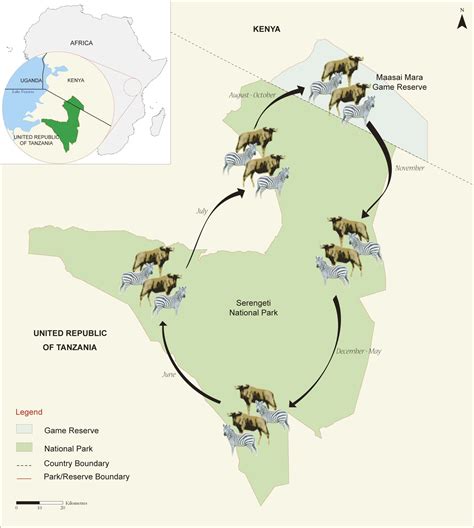 Serengeti Migration Map | domainecooncatsny