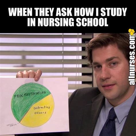 How to Rock Nursing School - The Regular Folks | Nursing school humor ...