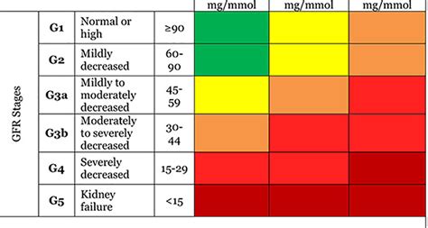 Chronic Kidney Disease Stages