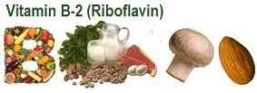 Riboflavin – Health Benefits & Migraine Prevention | MIGRELIEF