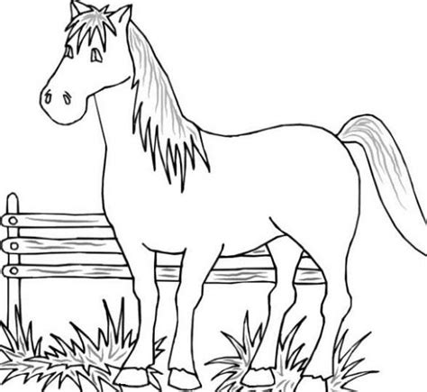 Farm Animals Coloring Pages Printable