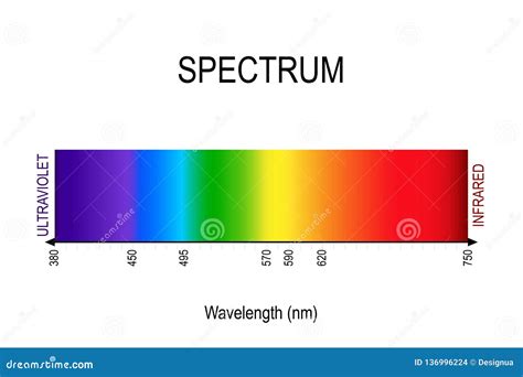 Spectrum. Visible Light, Infrared, and Ultraviolet Stock Vector ...