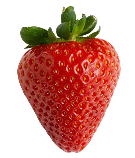 Single Strawberries, Farm Fresh, Fresh Berries, Natural Produce, Sweet ...