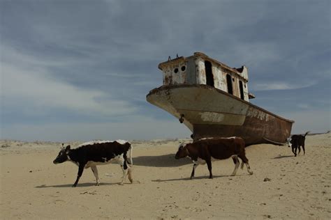 Shipwreck in Moynaq, formerly by the Aral Sea | This is unfo… | Flickr