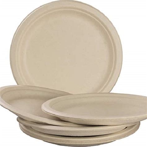 Silver Eco Friendly Disposable Plates at Best Price in Mumbai | Shriji ...