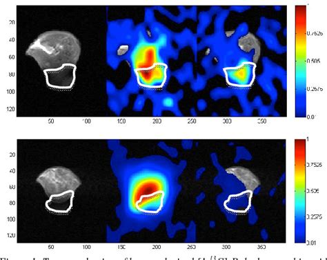 Figure 1 from In vivo reduction of Hyperpolarized [ 1-13 C ...