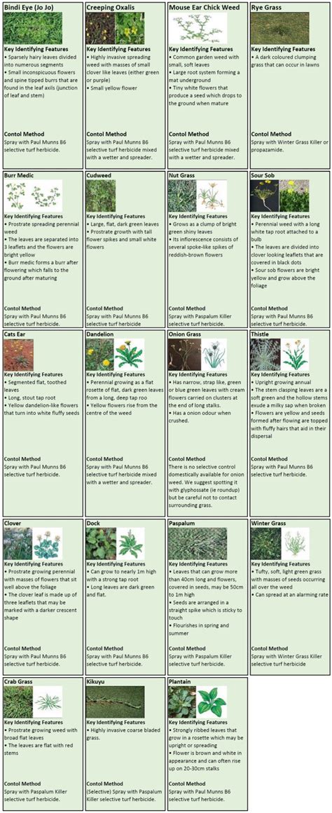 Virginia Weed Identification Chart