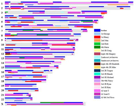 Using your DNA test results: the Basics for Genealogists | Dna ...