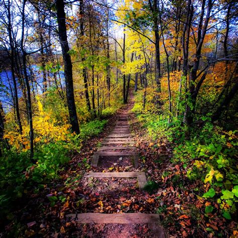 A Vermonter's guide to scenic fall foliage in Minnesota