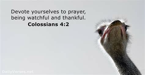 Colossians 4:2 - Bible verse - DailyVerses.net