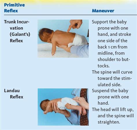 Pediatric Reflexes Chart