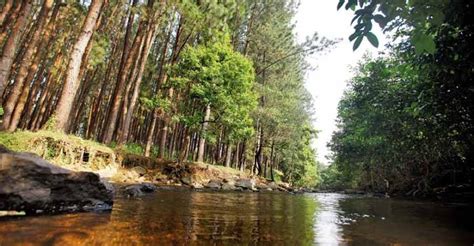 Trekking at Thangal Para - Vagamon - Connecting Traveller