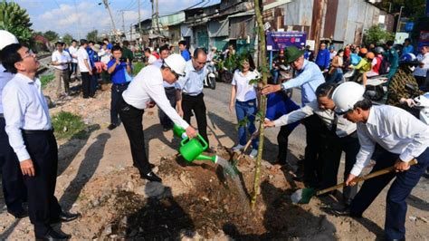 Thí điểm trồng hoa và cây xanh dọc tuyến đường sắt TP.HCM