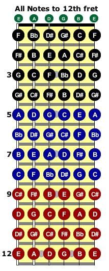 Notes On The Neck - Neck Diagrams