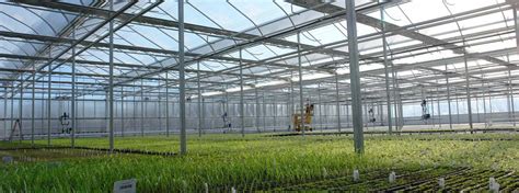 Commercial Greenhouse Structures, Design & Construction | GGS