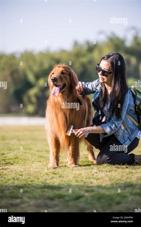 Girl and golden retriever Stock Photo - Alamy