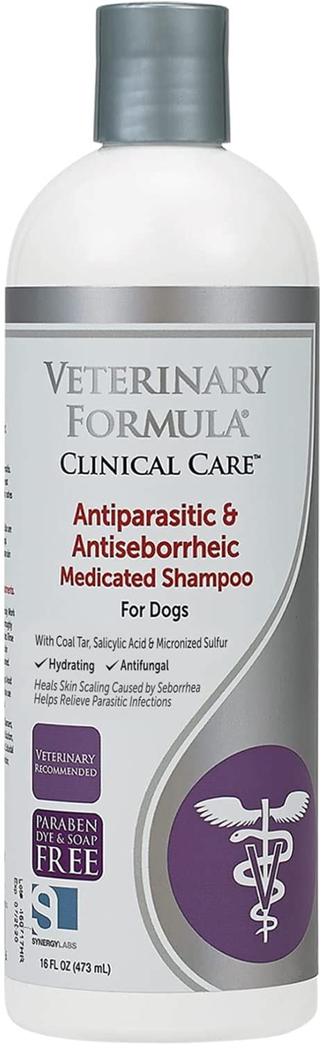 6 Best Mange Shampoos for Dogs - Review 2023 - TheDogCafé