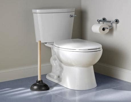 Sterling Toilet Reviews - Paperblog