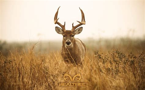 Realtree Wallpapers - Top Free Realtree Backgrounds - WallpaperAccess