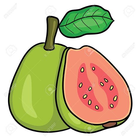 Free Guava Cliparts, Download Free Guava Cliparts png images, Free ...