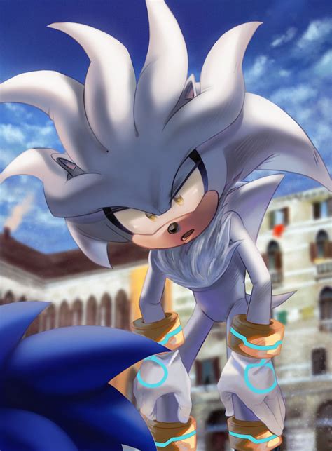 Pin by Tara on Sonic and his friend | Silver the hedgehog, Hedgehog, Sonic