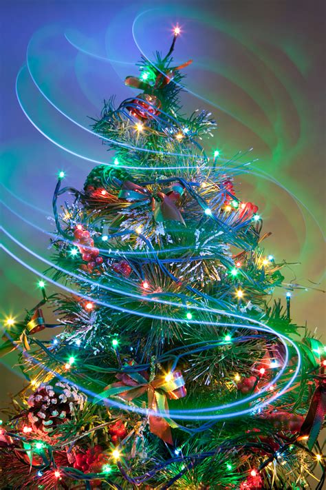 'Tis the Season for Christmas Tree Lightings | LongIsland.com