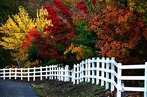 fall, Colors, Nature, Landscape, Beauty, Beautiful, Autumn, Tree ...