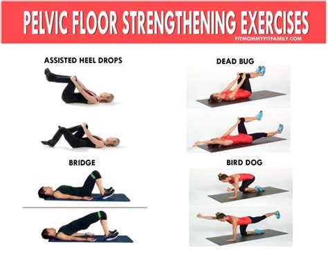 Inspiration 30 of Pelvic Floor Exercise For Men | anneinstavanger