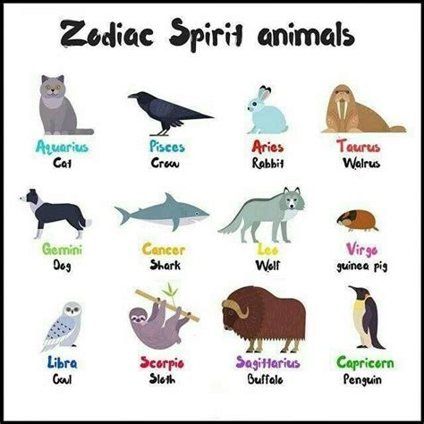 Zodiac spirit animal | Zodiac signs animals, Zodiac, Zodiac signs leo