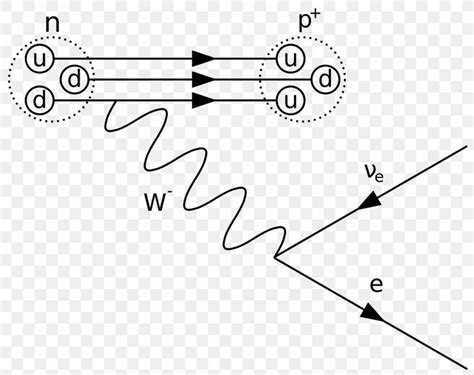 Feynman Diagram Beta Particle Beta Decay Positron Emission Quantum ...