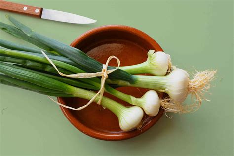 Scallions vs. Green Onions: What's the Difference?