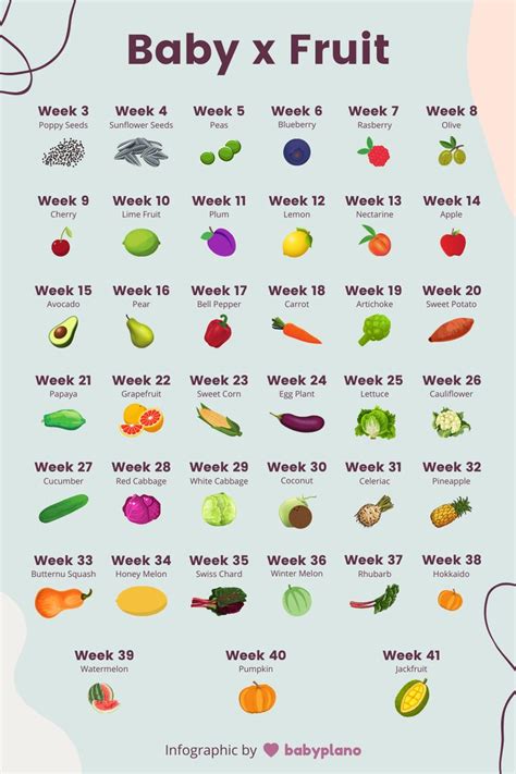 Baby size chart by week - fruits and vegetables comparison | Baby fruit ...