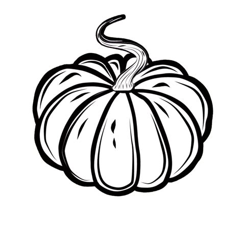 Pumpkin black, white, orange. PNG illustration with transparent ...