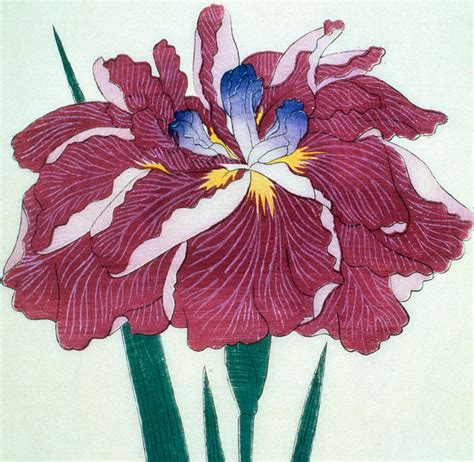 Japanese Flower Art Paintings - e-novels-myway