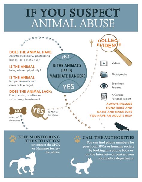 Recognizing Animal Cruelty and Abuse - Petful